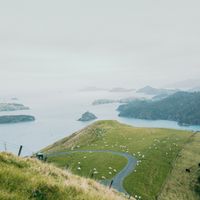 10 Best Places to Live on the Coast in New Zealand