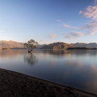 15 Best Places to Live in New Zealand