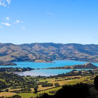 Understanding the Health System in New Zealand
