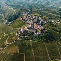 7 Tips for Living in Piedmont