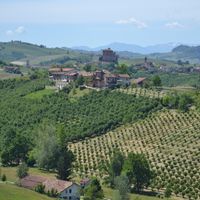 Retire in Piedmont Guide