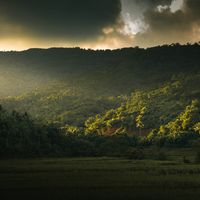 Understanding Mental Health in Philippines