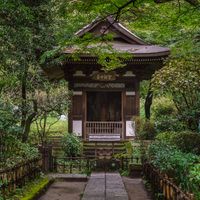 Do I need Health Insurance When Moving to Japan?