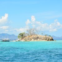 Top Hospitals in Philippines by Specialty