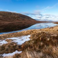 Understanding Mental Health in Scotland