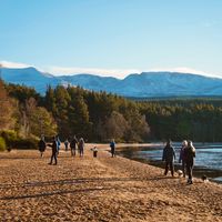 Pros and Cons of Living in Scotland