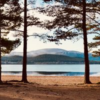 Prescription Medications and Pharmacies in Scotland
