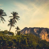 Culture Shock in Thailand