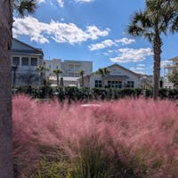 7 Tips for Living in Charleston