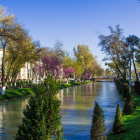Coronavirus in Tashkent, Uzbekistan