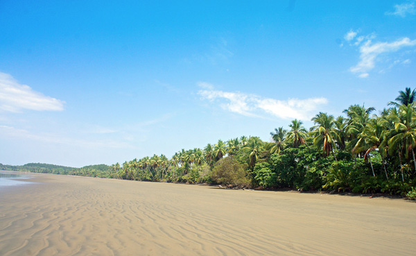 Health Care in Uvita