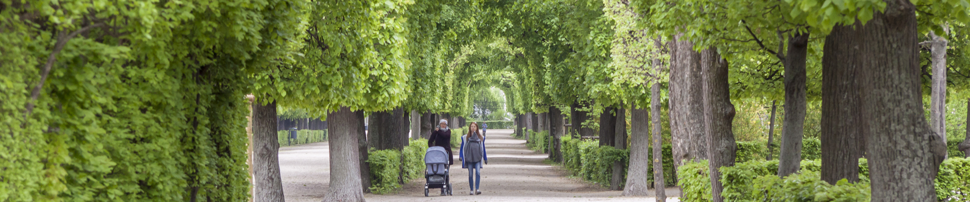  Gardens at Schonbrunn Palace in Vienna