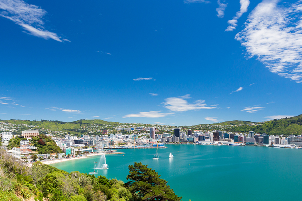 Discovering the Best of Wellington, New Zealand